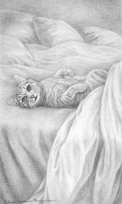 A veces quiero contarte